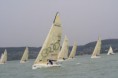 /album/melges-24-mvm-balaton-regatta-masodik-nap/img-3234-jpg/