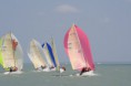 /album/melges-24-mvm-balaton-regatta-masodik-nap/img-3509-jpg/