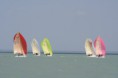/album/melges-24-mvm-balaton-regatta-masodik-nap/img-3516-jpg/